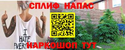 мдпв Кимры