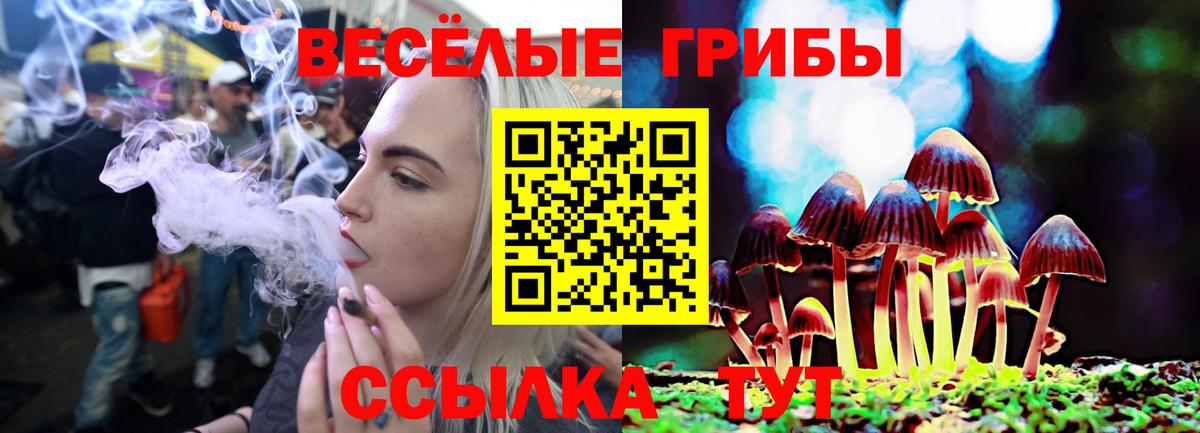 Коломна  Псилоцибиновые грибы Magic Shrooms  Вход с VPN 